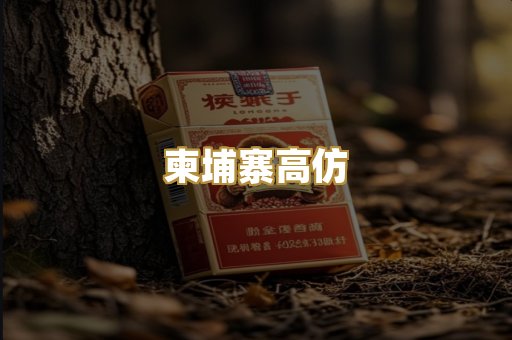柬埔寨高仿
